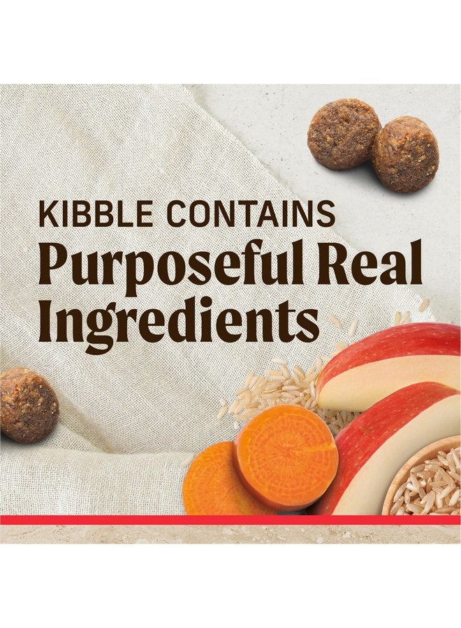 ميريك طعام جاف ممتاز للكلاب البالغة من Merrick Healthy Grains، طعام صحي وطبيعي مع لحم البقر والأرز البني - كيس 4.0 رطل - Image 3