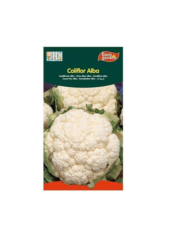 KNP EG Cauliflower Seeds