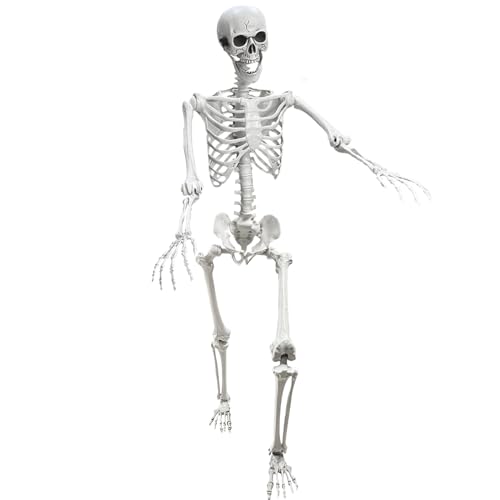 Lodou 5.4Ft Posable Life Size Human Adult Skeletons Plastic Human Bones with Movable Joints for Halloween Decoration - Image 1