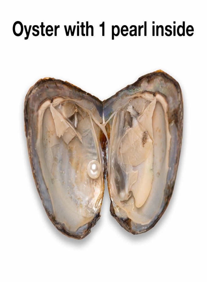 Lindo 30PC Oyster with Pearl Inside Round Dainty Faux Pearl Meaningful Color Pearls Beads to Open for Jewelry Making Crafts Gifts(Round, ABS, 8mm) - Image 3