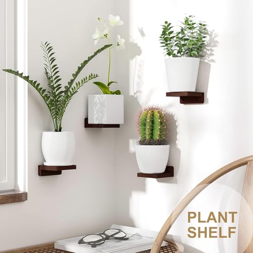 UHUD CRAFTS Small Floating Shelves, Set of 3 Shelves for Wall Decor & Storage | Wall Mounted Home Decor Small Wall Shelf | Mini Display Shelf for Living Room, Bathroom, Kitchen & Bedroom Decor - Brown - Image 4