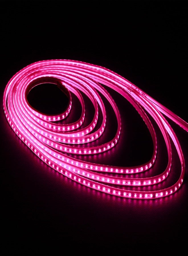 Lexton 5 Meter LED Rope Light for Home Decoration- Cove Light for Ceiling | Led Rope Lights for Diwali Decoration,Birthday,Christmas| for Indoor & Outdoor Decorations | (Pink, Pack of 1) - Image 1