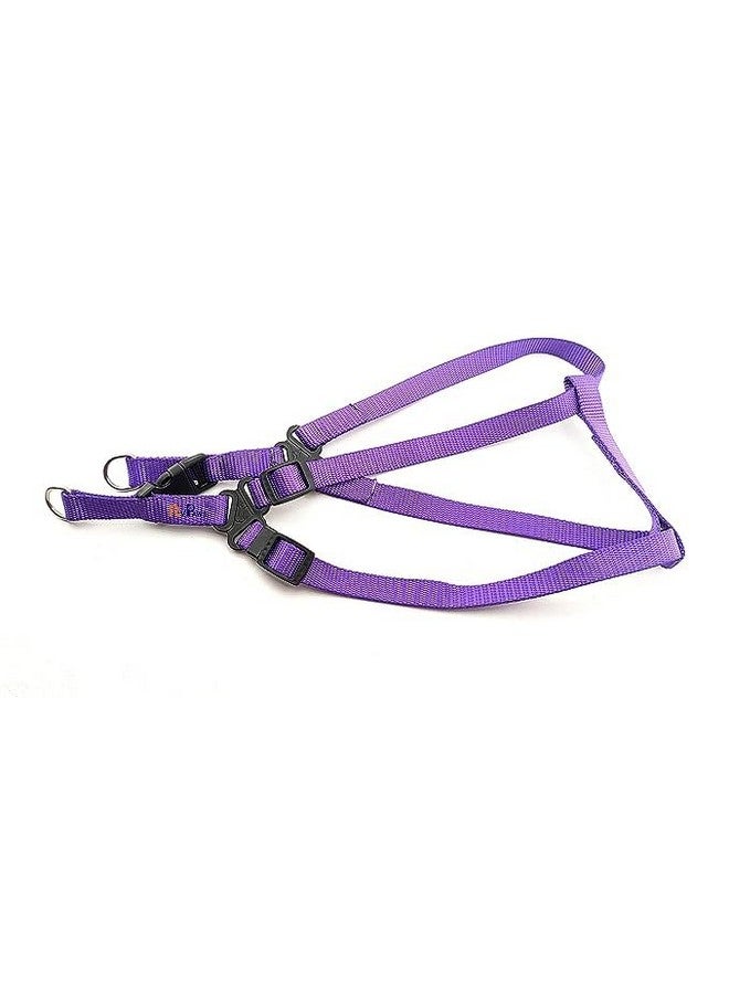 مجموعة حزام ومقود للكلاب بنمط شريط نايلون ناعم مقاس 15 مم من الراديوم/العاكس، مثالية للجراء والكلاب من السلالات الصغيرة (أرجواني) - Image 3