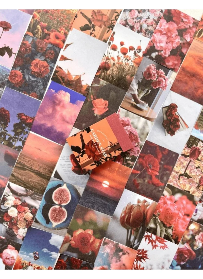 Kağıt Gemi Dükkan Paper Ship Shop Garden Star Red Notebook Sticker / Decal / Bullet Journal / Notebook Decoration / Scrapbook