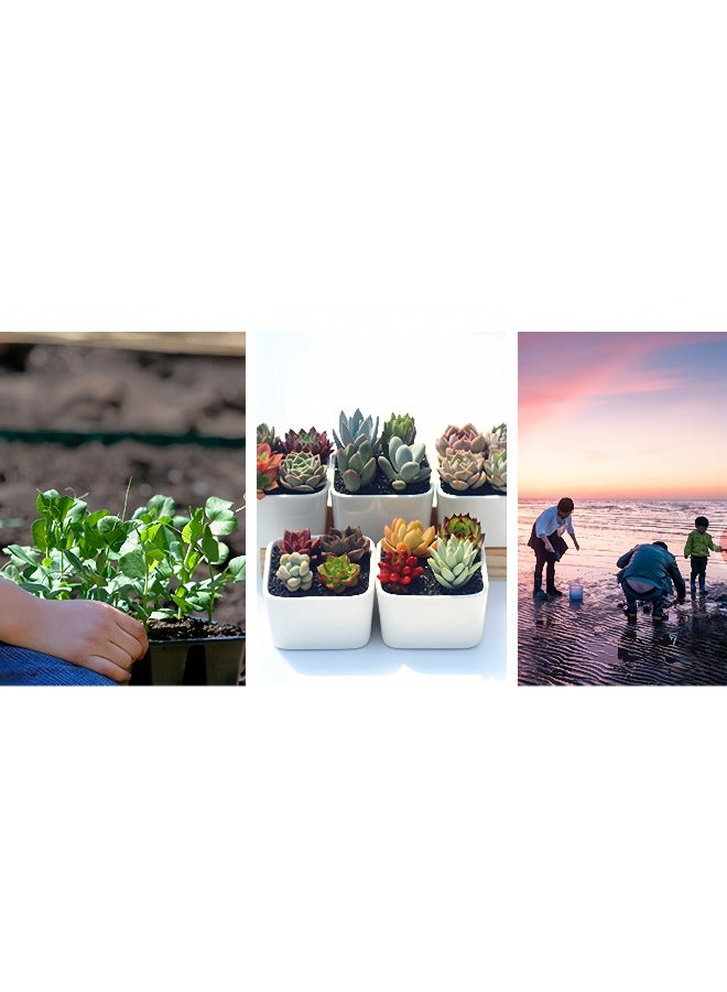 Gardening tools plastic shovel set for planting flowers, digging and loosening soil three-piece set suitable for home gardening, outdoor seaside (dark green) - Image 5