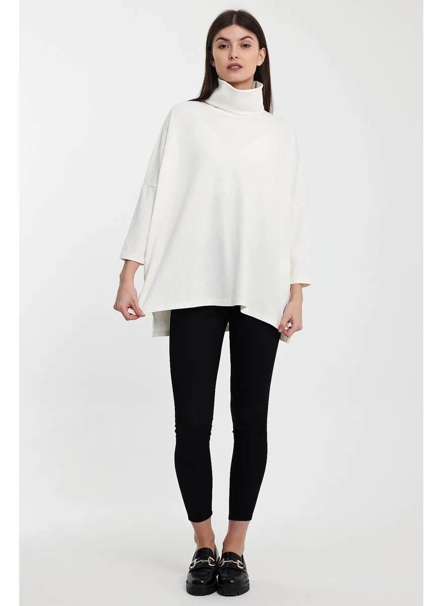 Alexandergardi Alexandergardı Turtleneck Fine Knitwear SWEATER(B24-36603)