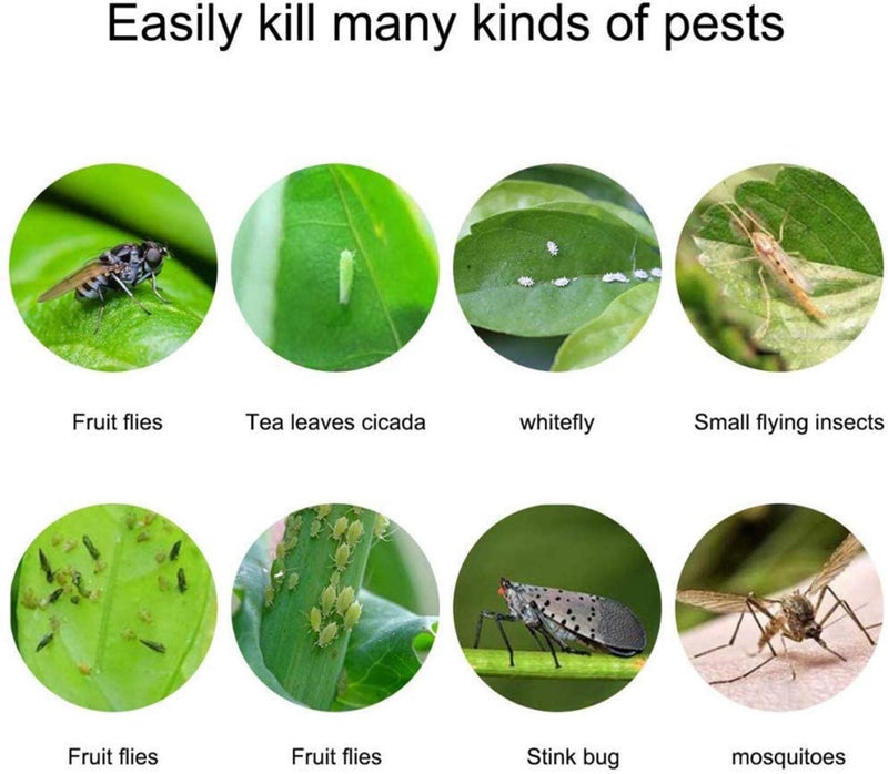 Faicuk Yellow Dual-Sided Sticky Fly Traps for Plant Insect Like Aphids, Fungus Gnats, Leaf Miners and White Flies (30 Pack) - Image 2