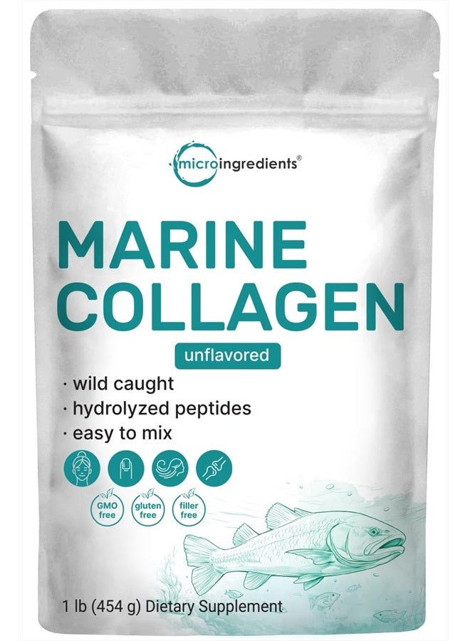 Micro Ingredients Marine Collagen Protein Powder, 1 Pound | Wild Caught Fish Source | Hydrolyzed Peptides for High Absorption | Unflavored, Keto, & Paleo Friendly | Easy to Mix, Non-GMO  - Image 1