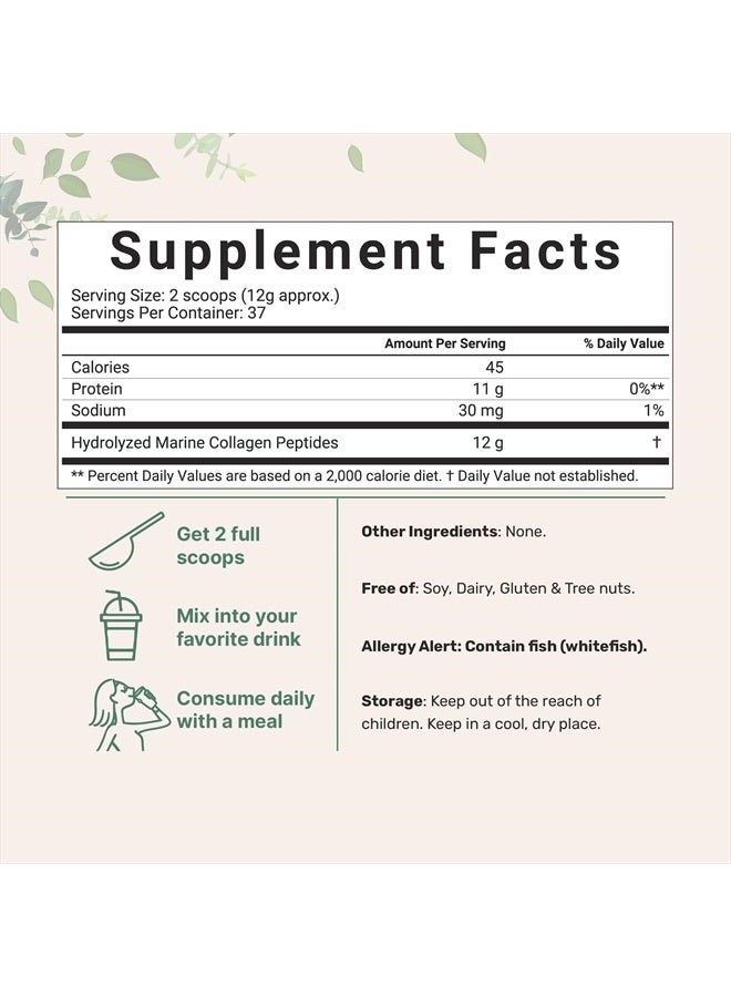 Micro Ingredients Marine Collagen Protein Powder, 1 Pound | Wild Caught Fish Source | Hydrolyzed Peptides for High Absorption | Unflavored, Keto, & Paleo Friendly | Easy to Mix, Non-GMO  - Image 2