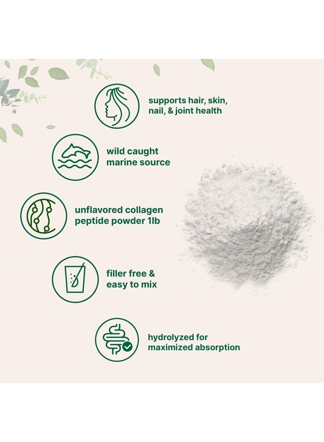 Micro Ingredients Marine Collagen Protein Powder, 1 Pound | Wild Caught Fish Source | Hydrolyzed Peptides for High Absorption | Unflavored, Keto, & Paleo Friendly | Easy to Mix, Non-GMO  - Image 3