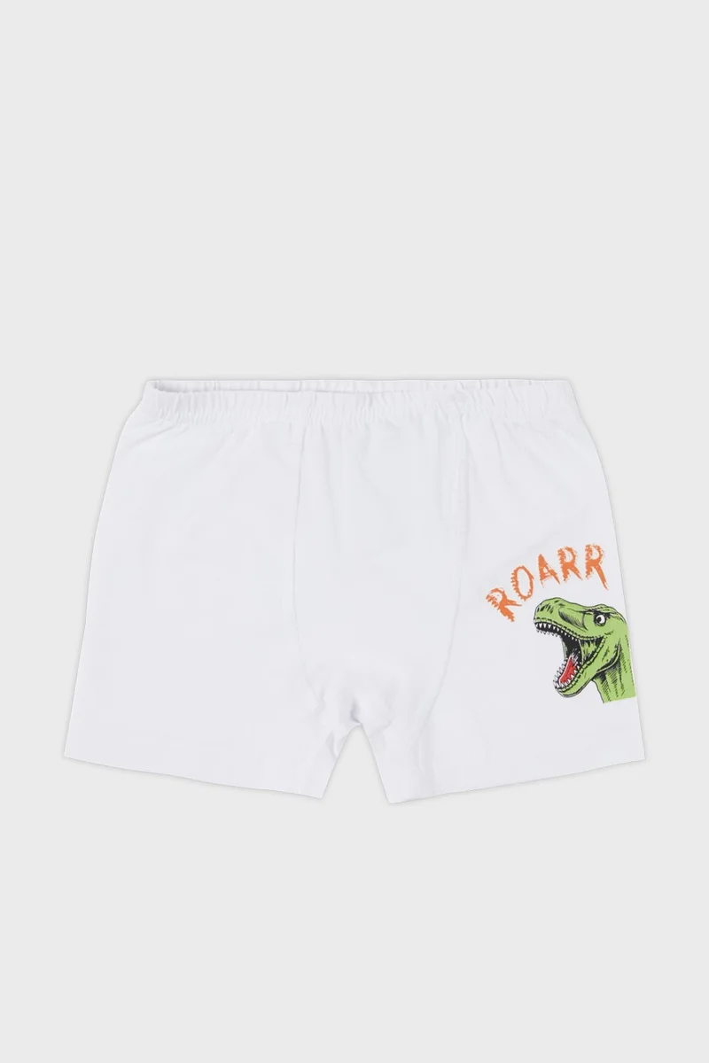 Lela Patterned Stretch Cotton 5 Pack Boxer Boy Boxer 6651005DINO