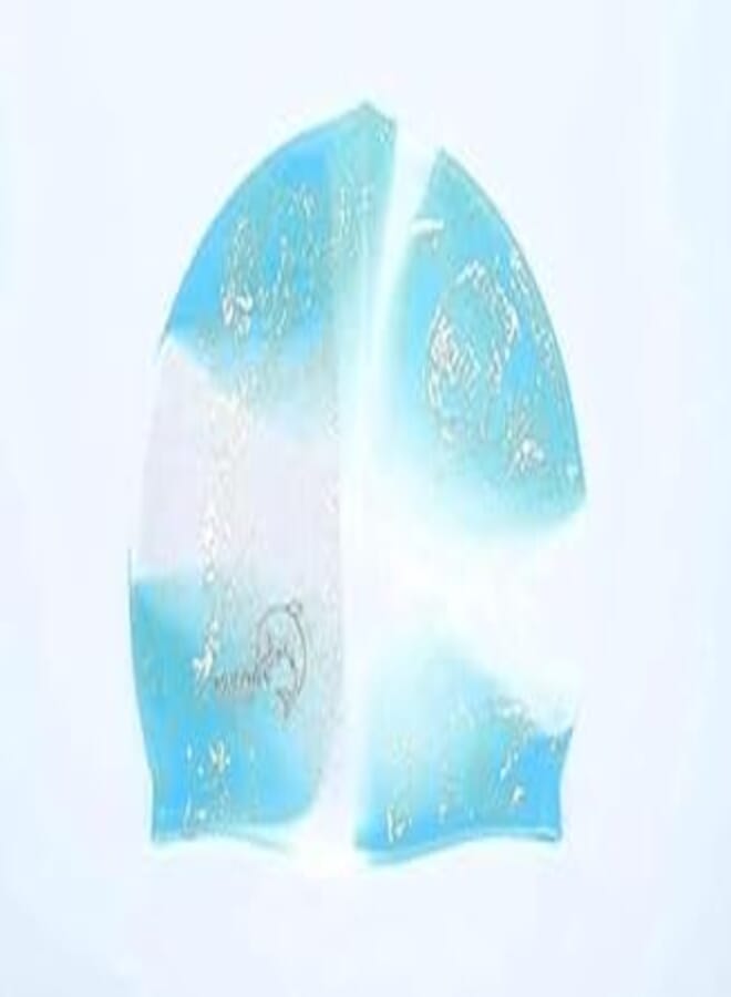 Generic Swimming cap silicone,waterproof head diving cap, swimming cap professional,swimming hat - light blue * white 