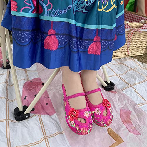 CCJRLM Mirabel Isabela Shoes for Girls Costume Cosplay Dress Up Embroidery MaryJane Ballet Shoes Rose - Image 5