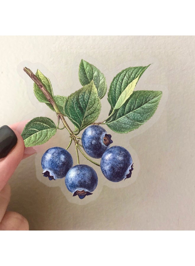 50Pcs Vintage Fruit and Vegetable Stickers Waterproof Decals for Journal Scrapbooking Laptop Photo Album PET Transparent Aesthetic Stickers - Image 4