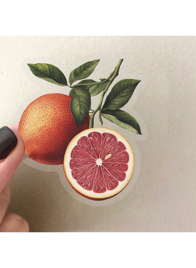 50Pcs Vintage Fruit and Vegetable Stickers Waterproof Decals for Journal Scrapbooking Laptop Photo Album PET Transparent Aesthetic Stickers - Image 3