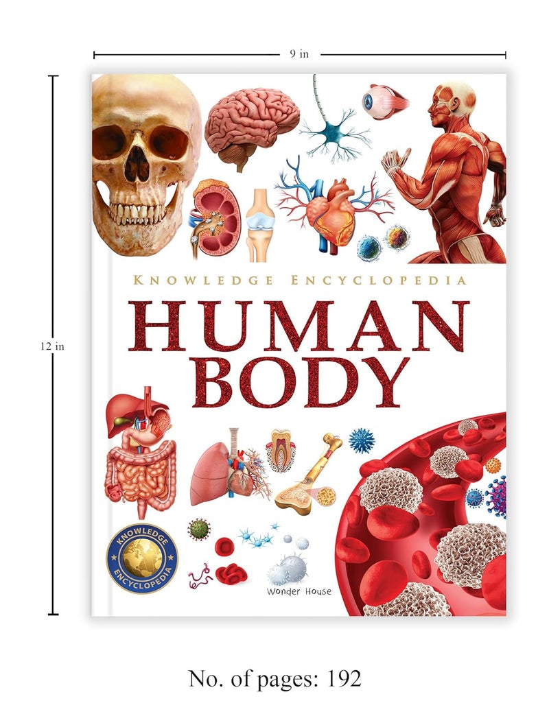 Knowledge Encyclopedia - Human Body - Image 3