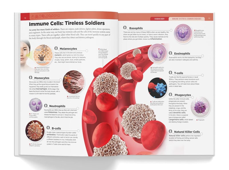 Knowledge Encyclopedia - Human Body - Image 5