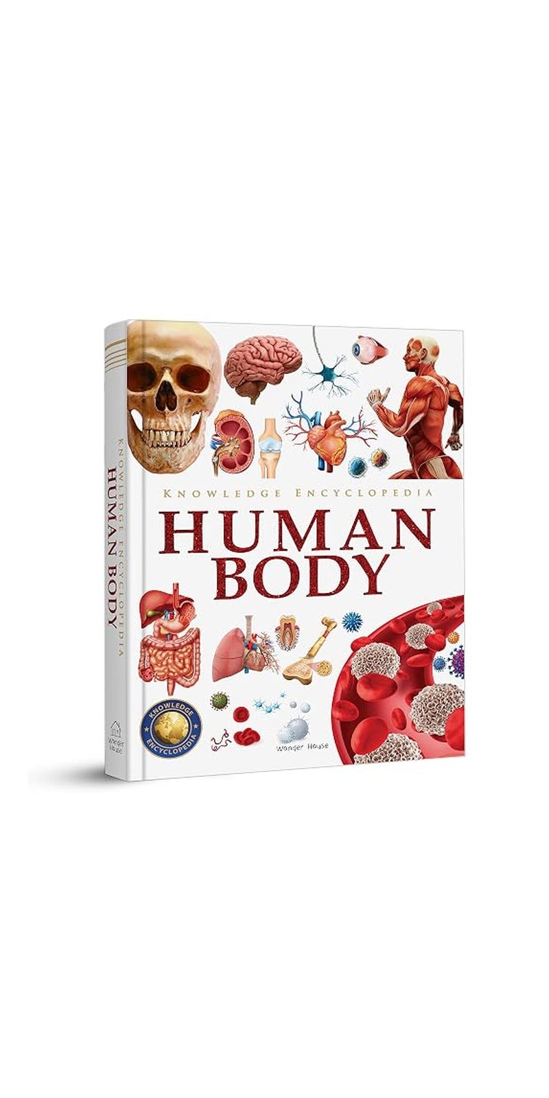 Knowledge Encyclopedia - Human Body - Image 1