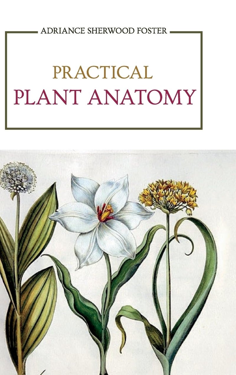 Practical Plant Anatomy - Image 1