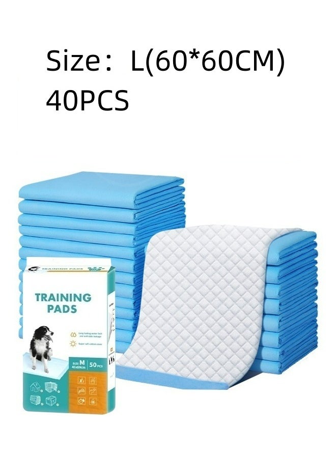 Blue Super Absorbent & Waterproof Puppy & Dog Training Pads for Housebreaking L - pzsku/ZC1D059791ACA922895D1Z/45/_/1735791244/105801d6-1f76-478d-8086-8c6e75fbdaa2