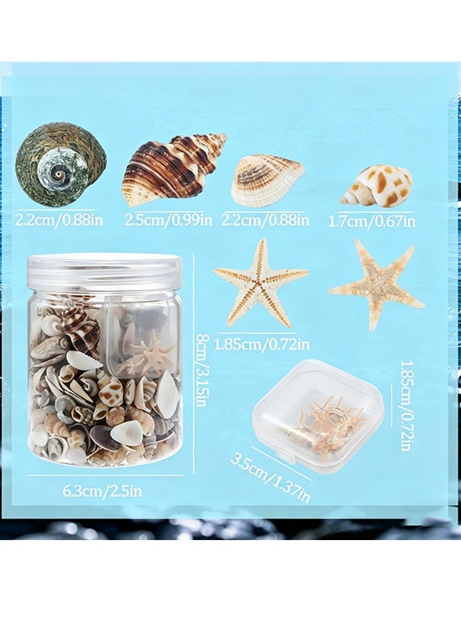 Happy D Tiny Sea Shells Small Natural Starfish Mixed Ocean Beach Spiral Seashells for Home Decorations,Wedding Decor,Candle Making,Beach Theme Party,DIY Crafts and Vase Filler(125G) - Image 4
