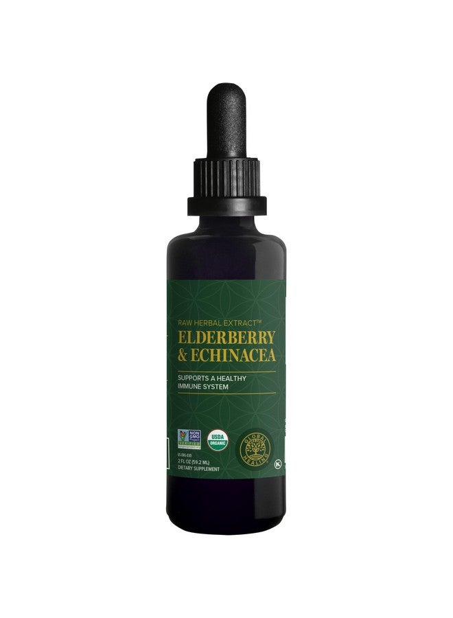 Global Healing Center USDA Organic Elderberry & Echinacea Liquid Supplement Tincture | Antioxidant Immune Support Against Harmful Organisms for Adults and Kids, Vegan, Non-GMO, 2-Month Supply (2 Oz) - Image 1