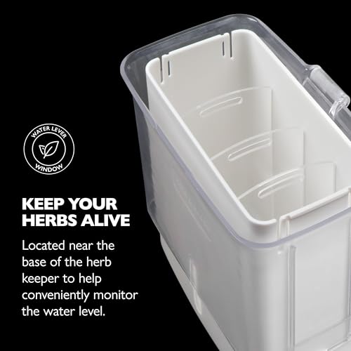 Cole & Mason Acrylic (Fresh Herb Keeper) - Fresh Herb Keeper Container Clear, New, 0.94 L - Image 5