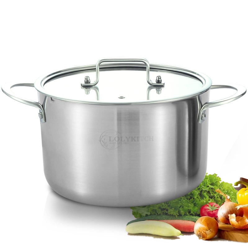 وعاء طهي ستانلس ستيل ثلاثي الطبقات 5 QT مع غطاء من LOLYKITCH