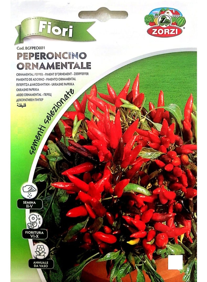 ZORZI Pepper Seeds - Image 1