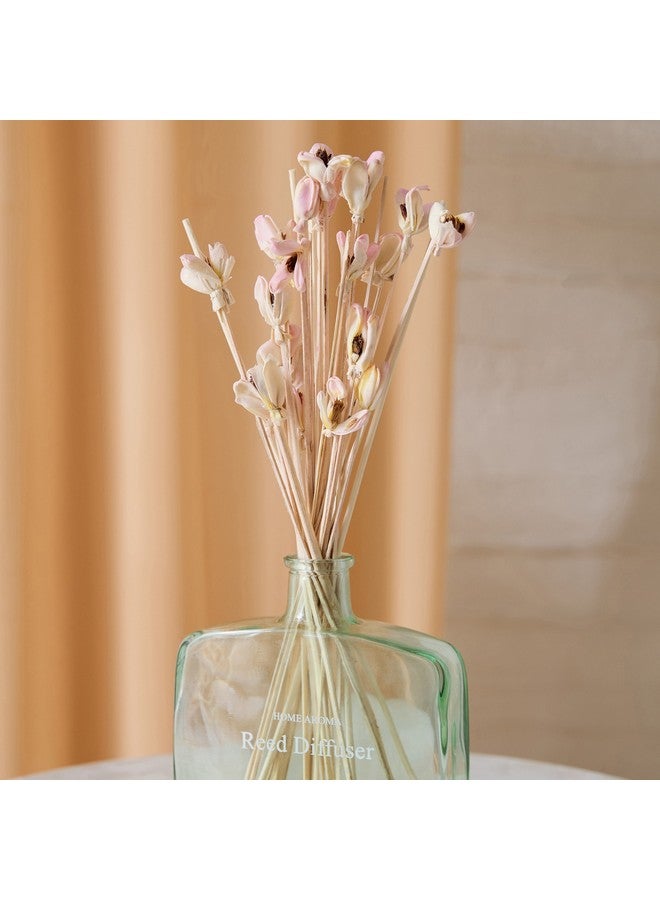 Home Box Seyna Sola Flower Reed Diffuser Bottle without Fragrance Solution 16 x 5 x 38 cm  - Image 3