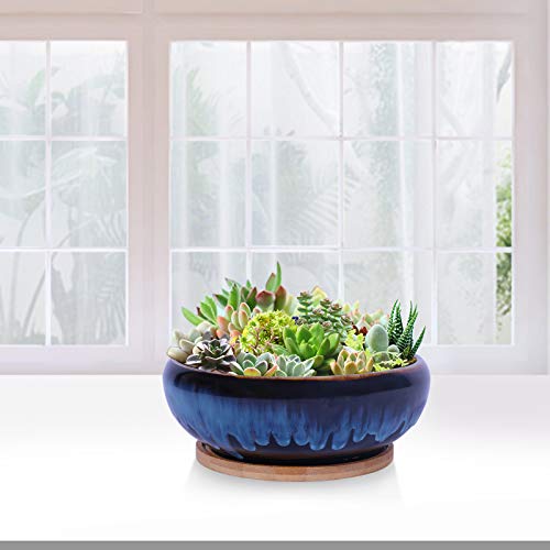 SQOWL 7 Inch Round Ceramic Succulent Planter Pot Drip Glazed Shallow Planter with Drainage Bamboo Tray for Indoor Plants - Image 4