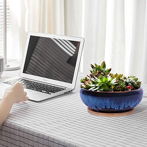 SQOWL 7 Inch Round Ceramic Succulent Planter Pot Drip Glazed Shallow Planter with Drainage Bamboo Tray for Indoor Plants - Image 5