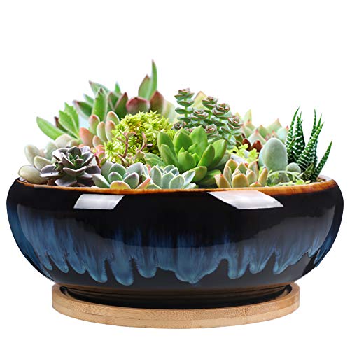 SQOWL 7 Inch Round Ceramic Succulent Planter Pot Drip Glazed Shallow Planter with Drainage Bamboo Tray for Indoor Plants - Image 1