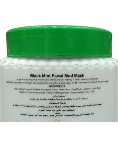 Black Mint Facial Mud Mask 500 Ml  - Image 2