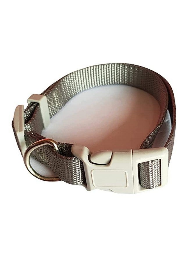 10Mm Nylon Plain Strip Pattern Heavy Hook Leash With Adjustable Buckle Neck Collar Belt Ideal For Outdoor Training/Walking Dogs And Puppies (Gray) - Image 2