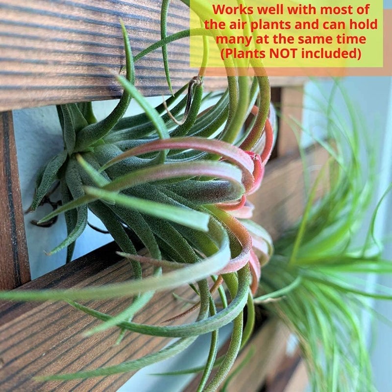 ShopLaLa Wall Planter – Wooden Hanging Planter for Indoor Plants, Plant Stand, Air Plant Succulent Holder, Vertical Garden. Large Wall Decor for Living Room, Room Decor for Teens - Image 3