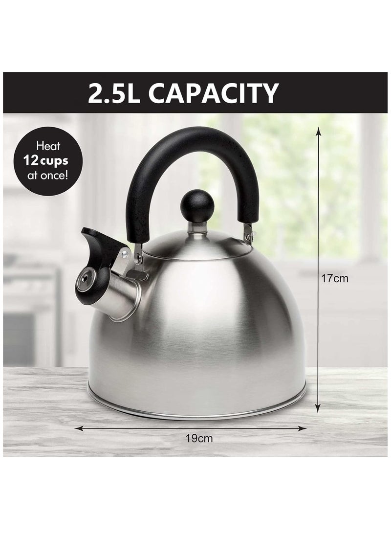 Tea Kettle, Stainless Steel Teapot with Heat-resistant Handle, Whistling Stovetop for Home