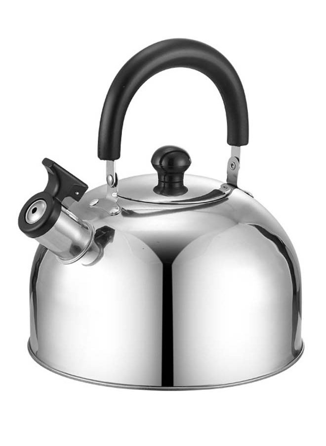 Arabest Tea Kettle, Stainless Steel Teapot with Heat-resistant Handle, Whistling Stovetop for Home  - Image 1