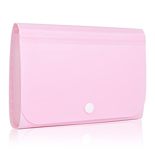 REEMTOO Receipt Organizer, Coupon Organizer, Folder Organizer Mini Organizer Wallet for Coupons, Receipts, Cash, Tax Item or Changes,7x4.5 in 13 Pockets with Tabs Check Case(Pink) - Image 1