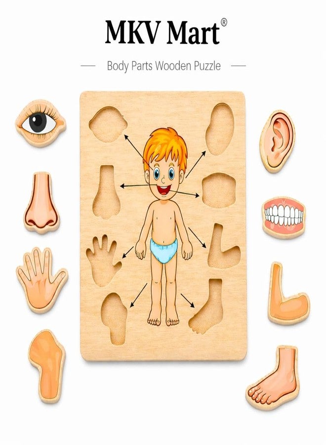 MKV MART Body Part Puzzle Kids Wooden Toys for Kids 3 + Jigsaw Puzzles for Adults Baby Learning Toys Educational Toys Game for Learning Human Body Parts Anatomy Skeleton - Gift Toys for Boy and Girl - Image 4