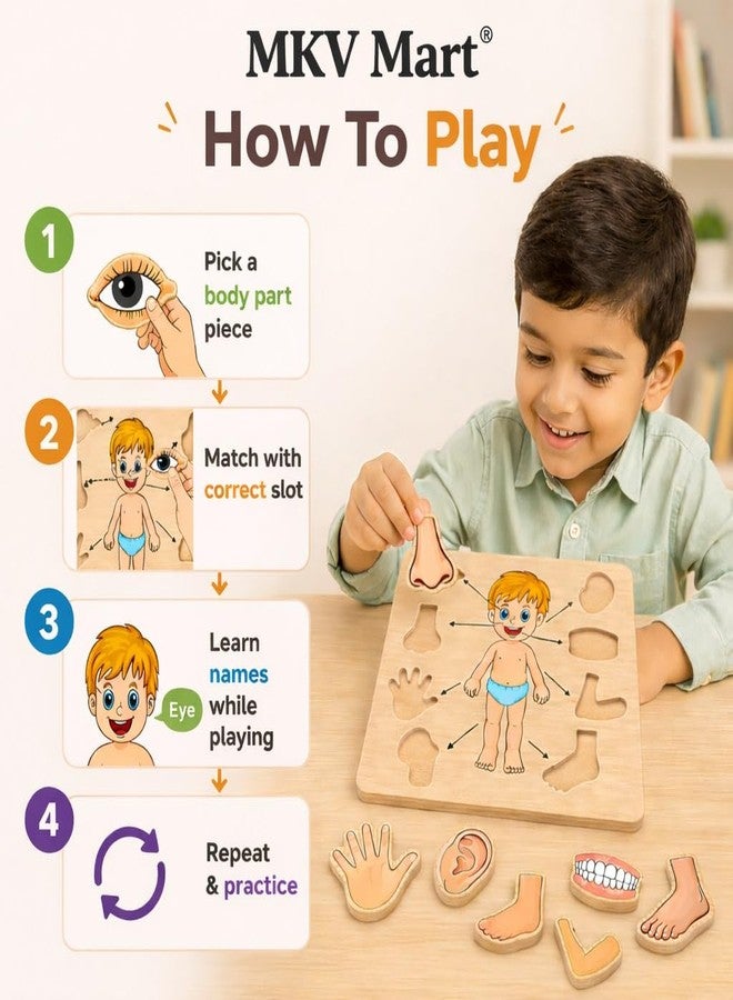 MKV MART Body Part Puzzle Kids Wooden Toys for Kids 3 + Jigsaw Puzzles for Adults Baby Learning Toys Educational Toys Game for Learning Human Body Parts Anatomy Skeleton - Gift Toys for Boy and Girl - Image 3