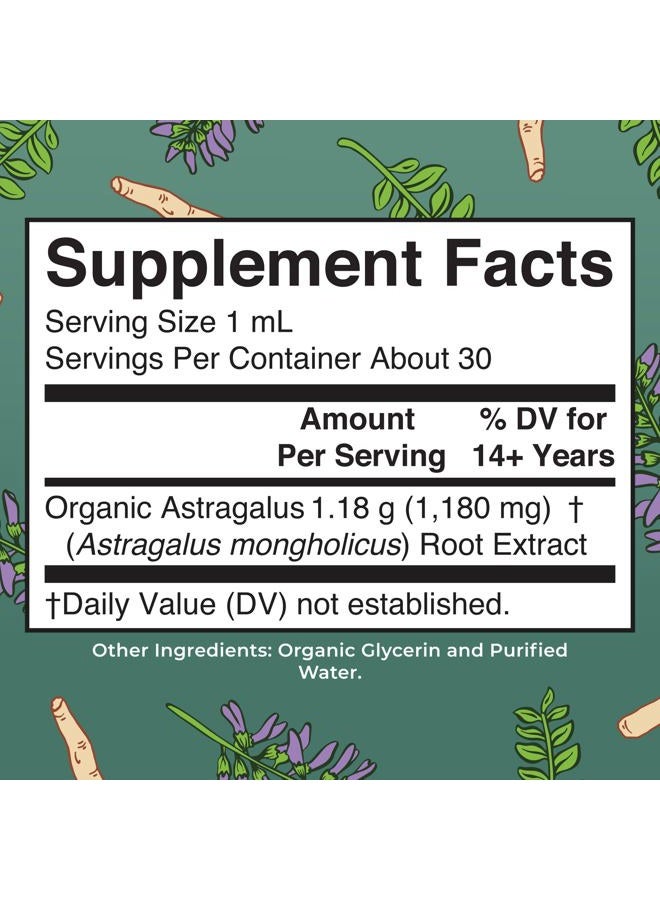 MaryRuth's Astragalus Root, Sugar Free, USDA Organic, Astragalus Extract for Immune Support, Focus, and Cardiovascular Support, Astragalus Root Organic Liquid Drops, Non-GMO, Vegan, 1 Fl Oz - Image 2