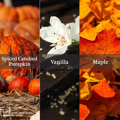 Aromatique Pumpkin Spice Fragrant Aerosol Room Spray in 5 oz Gold Bottle for Home Decor and Gift - Image 4