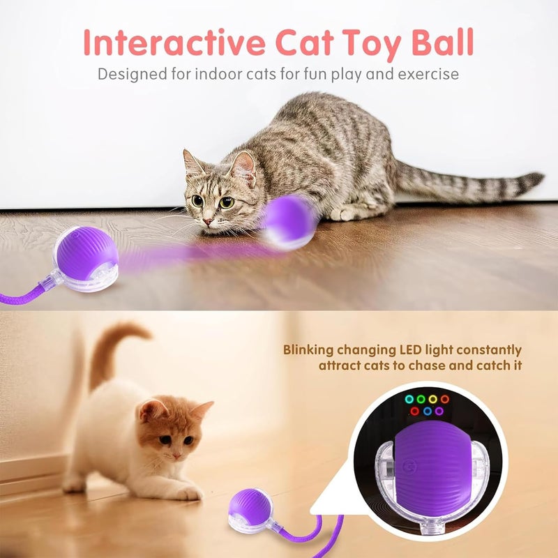 TTPOLONG Interactive Toy for Cats and Dogs, 3 Adjustable Modes with Wake Up Function for Cats and Dogs (Pink) - Image 3
