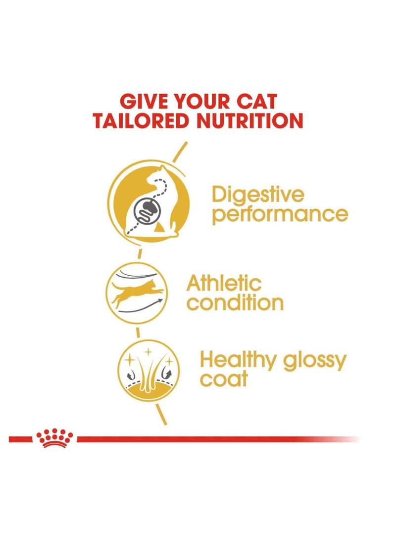 ROYAL CANIN طعام جاف للقطط البالغة من بنغال 2 كجم - Image 5