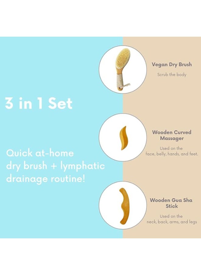 3-in-1 Body Massage Set, Vegan Dry Brush with Non-Slip Handle, 2 Wooden Lymphatic Drainage Tools - Image 2