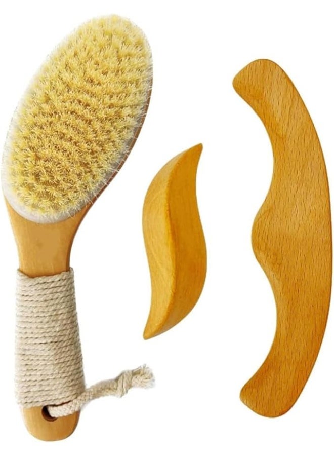 3-in-1 Body Massage Set, Vegan Dry Brush with Non-Slip Handle, 2 Wooden Lymphatic Drainage Tools - Image 1