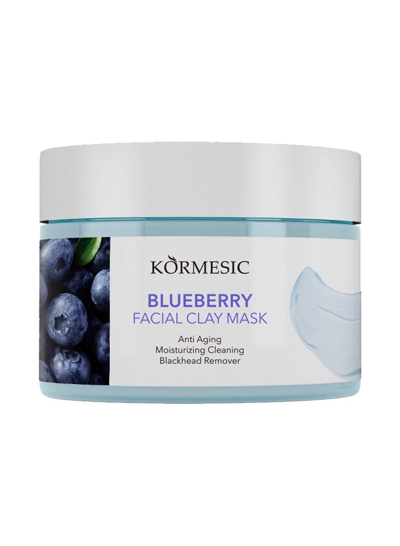 Kormesic Blueberry Clay Mask 120g - Antioxidant & Purifying - Image 1