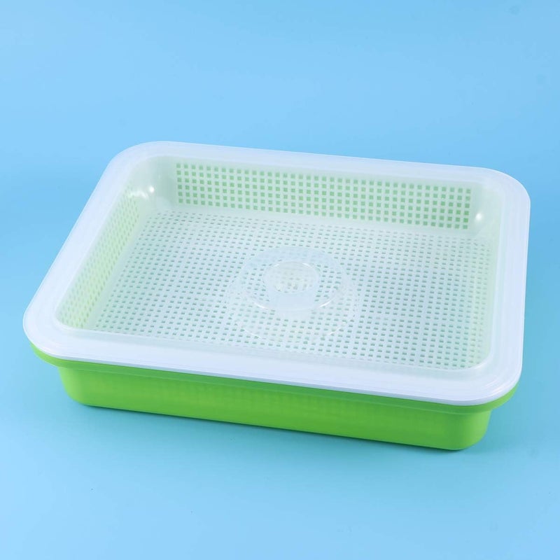 woobles Seed Sprouter Tray BPA Free PP Soil-Free Big Capacity Healthy Wheatgrass Grower Bean Sprout Grower 32.5 x 26 x 11.5cm - Image 5