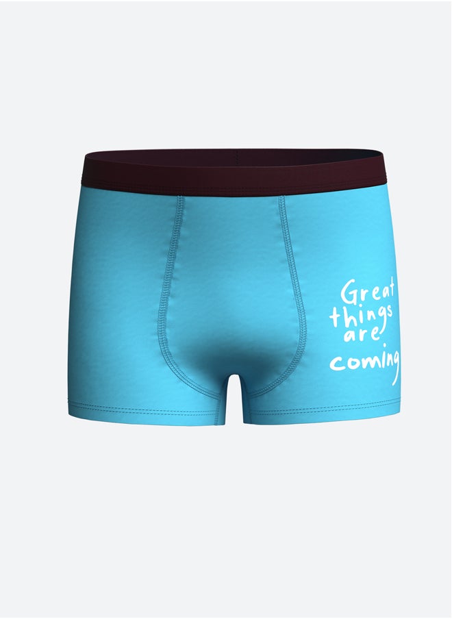 LC WAIKIKI Basic Boy's Boxer 3-pack  - Image 3
